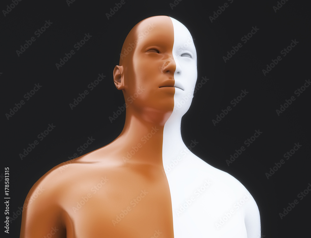 3d rendering. Human body divided into two colors 3d rendering. Human body divided into two colors