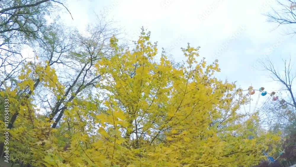 Emotion of a child in nature. Father throws his daughter up in the autumn park. Emotion of a child in nature. Father throws his daughter up in the autumn park.