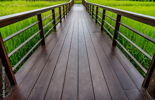 Footbridge in the paddy © santagig