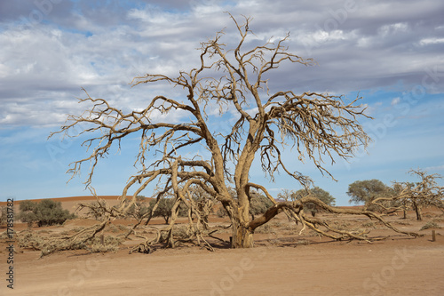 Namibia