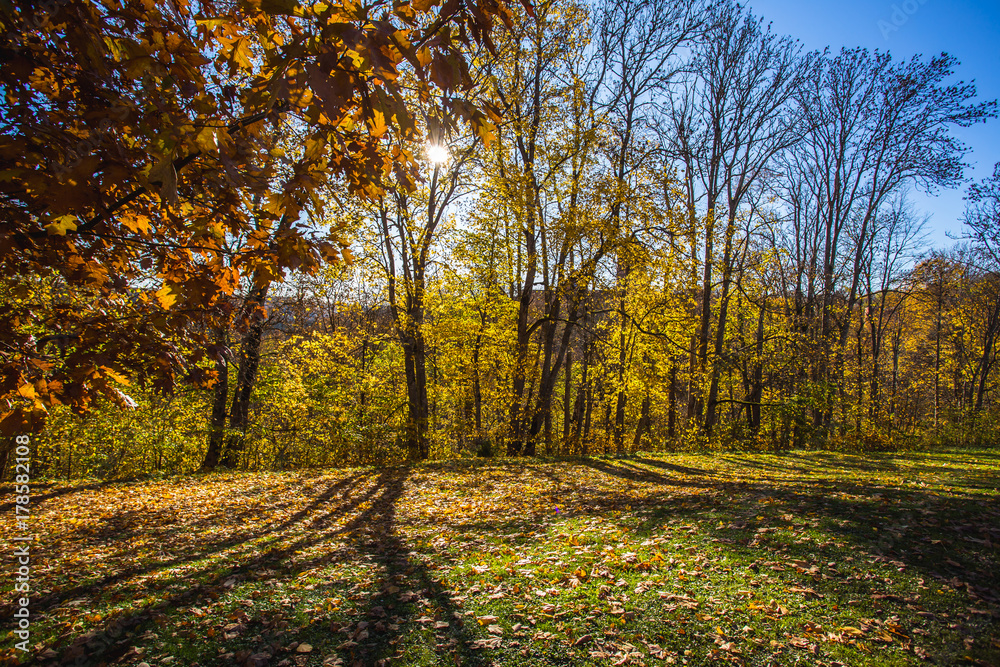 Fototapeta premium Autumn in Latvia