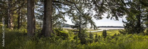 Nehalem Bay photo