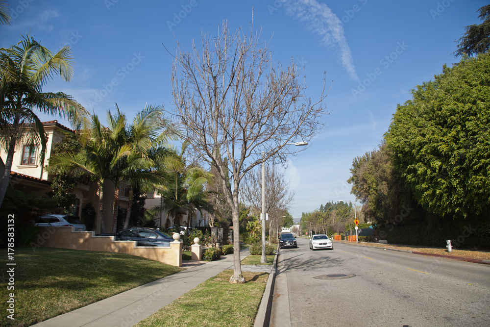 Street in Beverly Hills
