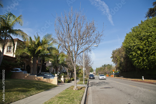 Street in Beverly Hills