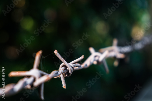 Close up old barbed wire with a little spider web