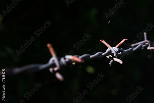 Close up old barbed wire with a little spider web