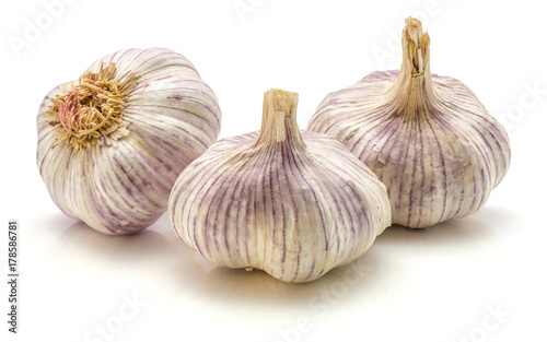 Garlic isolated on white background three bulbs