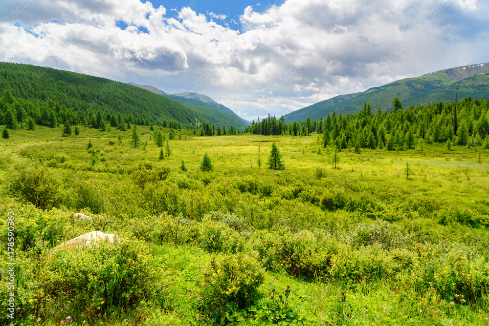 Valley on Ulagan plateau. Altai Republic. Russia