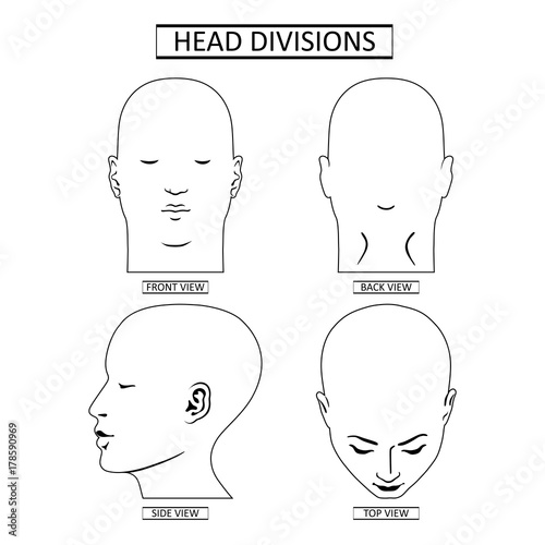 Man head divisions scheme