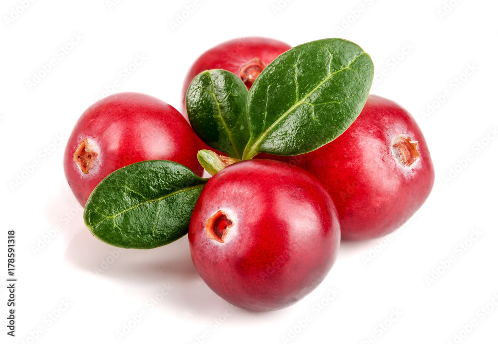 Cranberry with leaf isolated on white background closeup macro Cranberry with leaf isolated on white background closeup macro