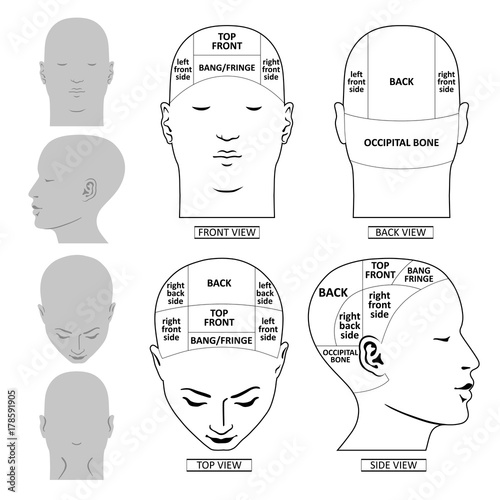 Man head divisions scheme