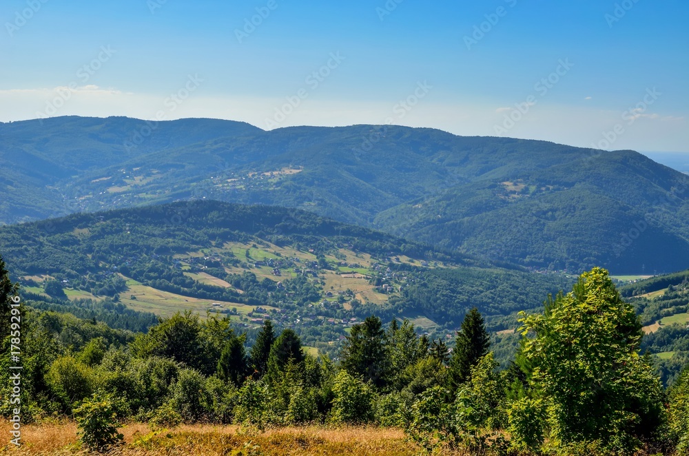 Summer mountain landscape. Beautiful green peaks on a sunny day.