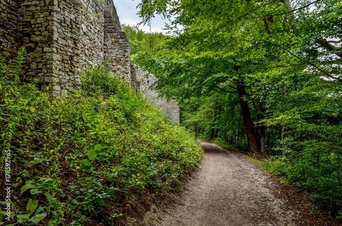 Green forest landscape. A gravel road near the walls of the ruins of the castle.