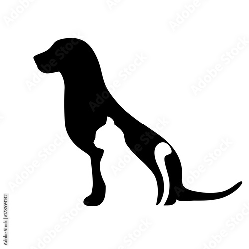 dog and cat on white background
