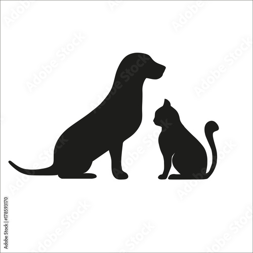 dog with a cat on a white background
