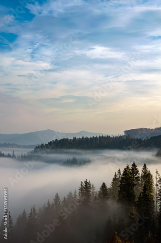 Foggy morning in the Ukrainian Carpathian Mountains in the autumn season © zyoma_1986