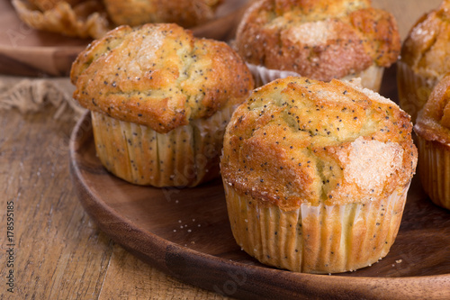 Vászonkép Lemon Poppy Seed Muffin Closeup