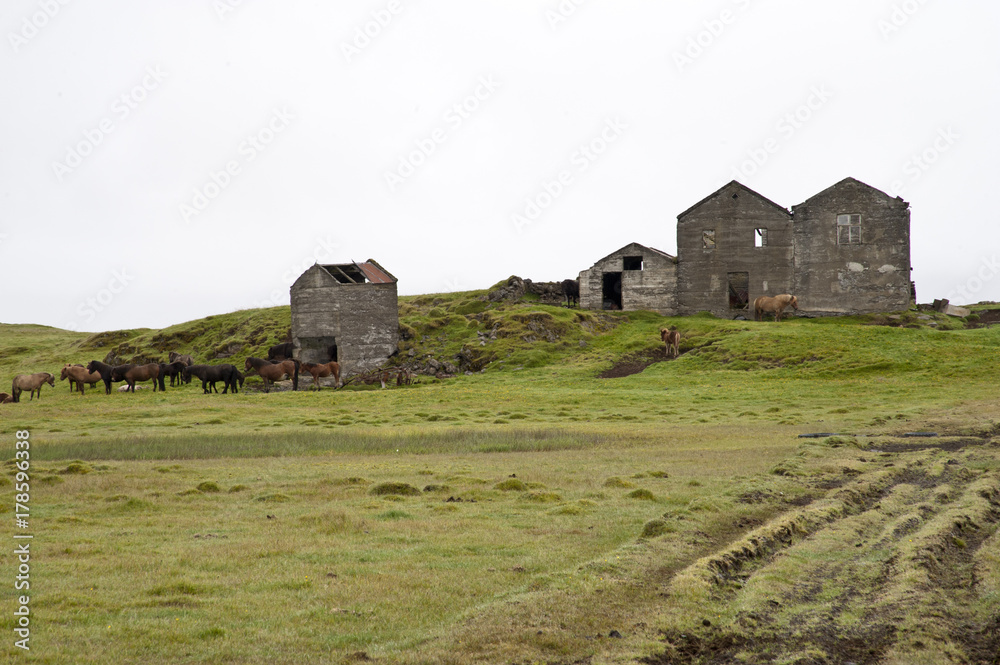 Typical Icelandic landscape, a wild nature of rocks and shrubs, rivers and lakes. Typical Icelandic landscape, a wild nature of rocks and shrubs, rivers and lakes.