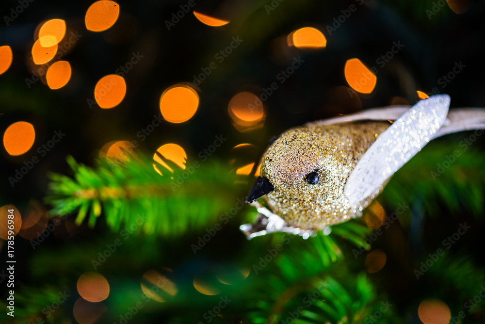 Christmas Robin Bird on the Xmas Tree Christmas Robin Bird on the Xmas Tree