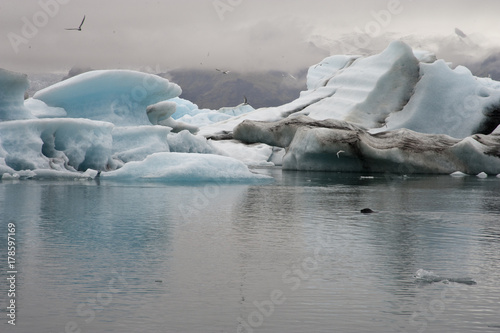 Panoramic Jokulsarlon  Typical Icelandic landscape  a wild nature of seals and icebergs  rocks and water.