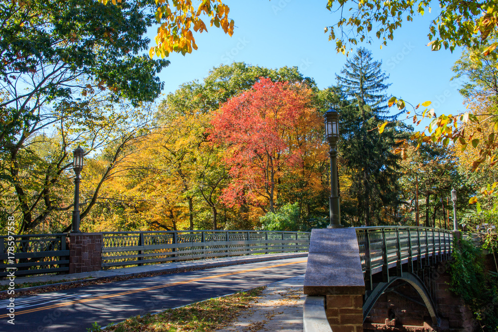 Bridge with Fall Foliage