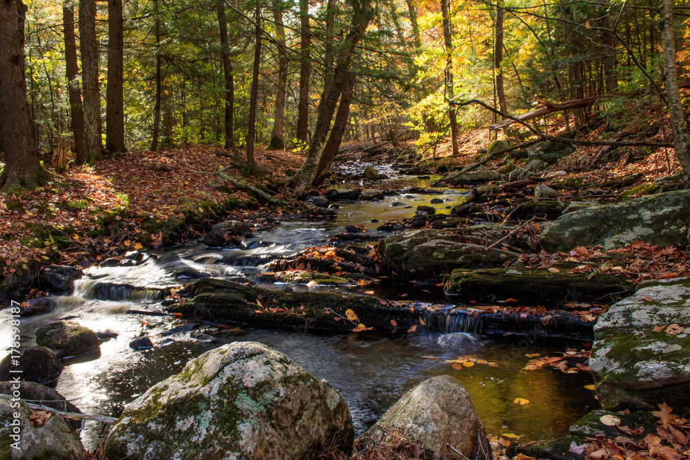 Autumn Brook Autumn Brook