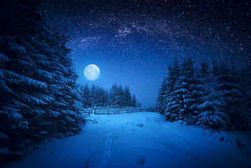 Keuken achterwand Nacht Majestueus besneeuwd winterbos in stilte  © Bashkatov