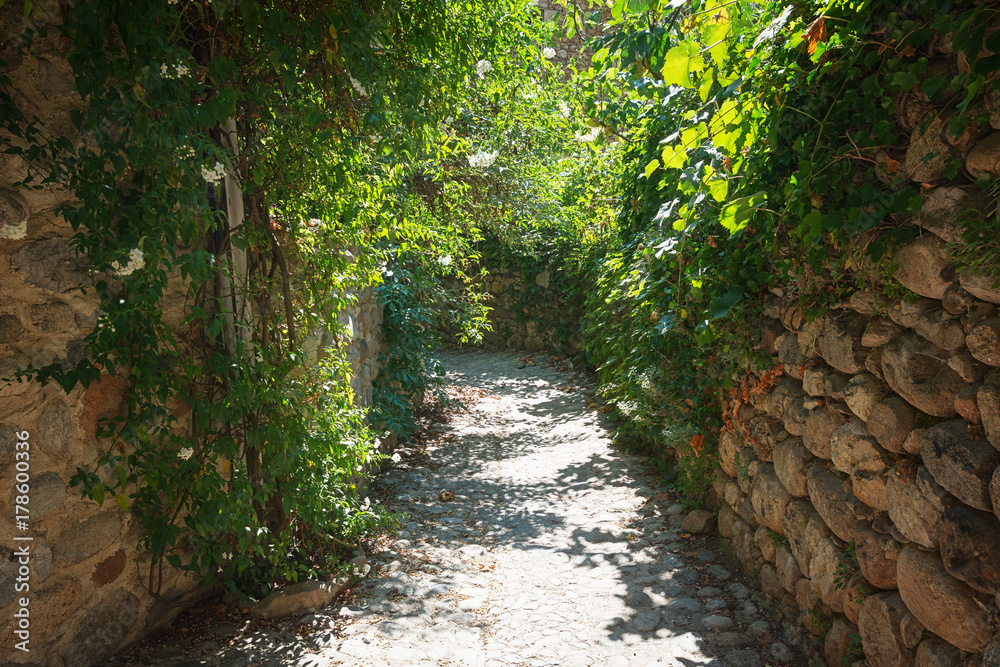 Fototapeta premium Narrow grown street surrounded by walls in the village of Labeaume in the Ardeche region of France