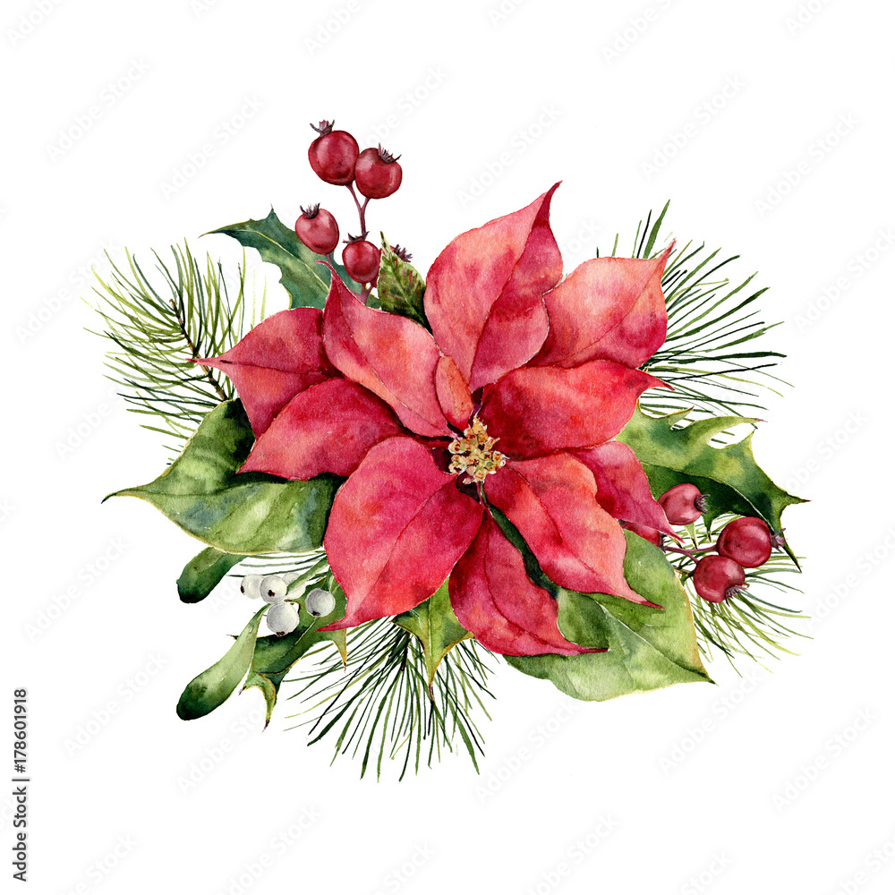 Fototapeta premium Watercolor poinsettia with Christmas floral decor. Hand painted traditional flower and plants: holly, mistletoe, berries and fir branch isolated on white background. Holiday print.