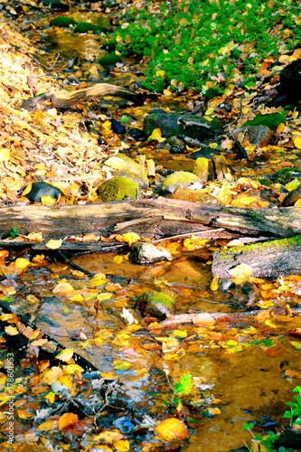 Herbst Wald - Herbstwald - ...