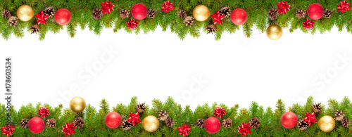 Everygreen branches on white