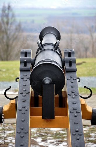napolenic cannon
