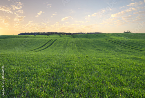 green field  panorama