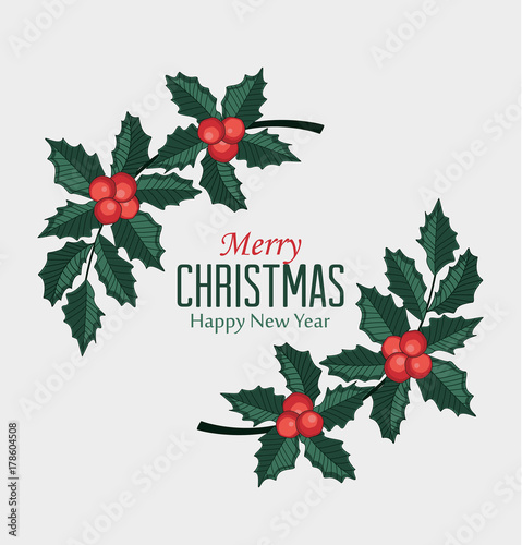 Christmas vector illustration of decorative branches and berries. Red mistletoe