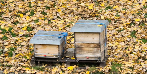 Quadro su tela Bienenstöcke im Herbst