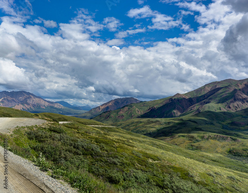 View towards sky with clouds and nature in Denali National Park