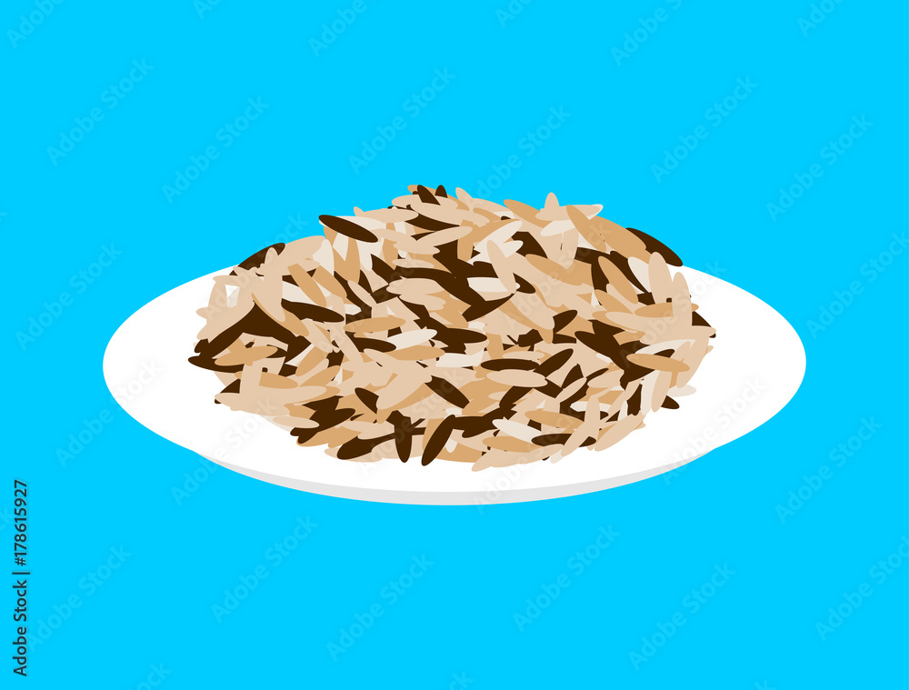 Wild rice cereal in plate isolated. Healthy food for breakfast. Vector illustration Wild rice cereal in plate isolated. Healthy food for breakfast. Vector illustration