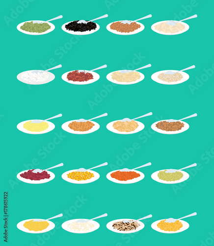 Porridge in plate and spoon set. Rice and lentils. Red beans and peas. Corn and barley gritz. Millet and cuscus. Oat and buckwheat. Bulgur and wheat. Healthy food for breakfast. Vector illustrationть