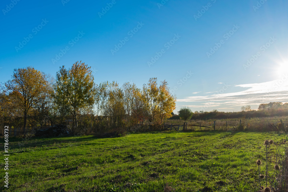 Autumn scene on a farm, trees, picket fence, green meadow, morning, sunrise, orchard
