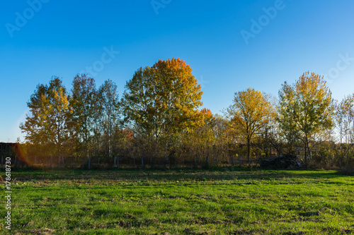 Autumn scene on a farm, trees, picket fence, green meadow, morning, sunrise, orchard