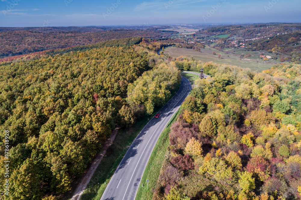 Obraz premium road through the autumn forest
