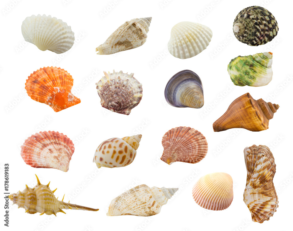 beautiful sand texture background beautiful sand texture background