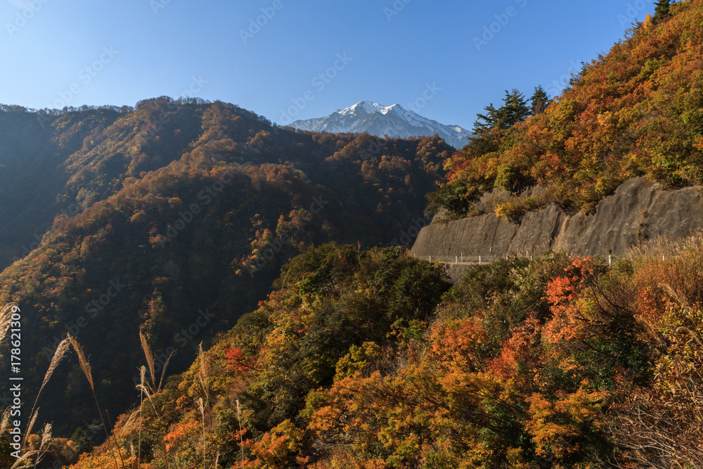 秋の樹海ラインからみた風景 秋の樹海ラインからみた風景