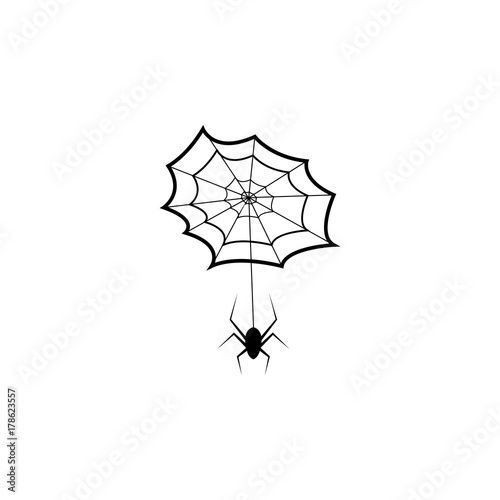 Spider web icon