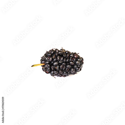 Mulberry isolated on white background.