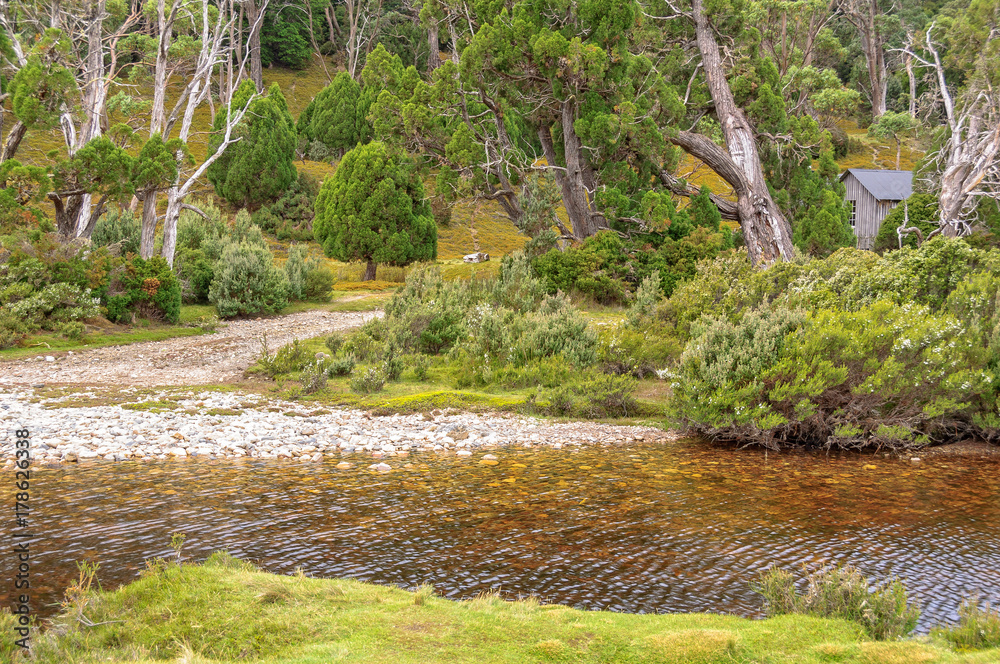Ronny Creek crossing in the Cradle Mountain-Lake St Clair National Park - Tasmania, Australia