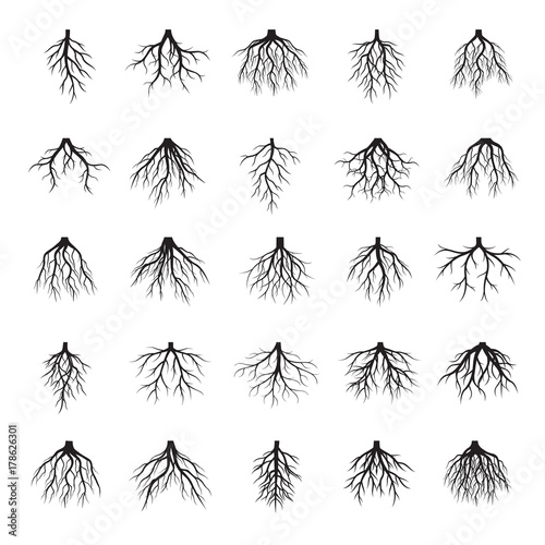 Set of Black Roots Tree. Vector Illustration.