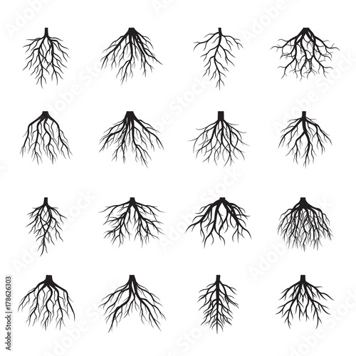 Set of Black Roots Tree. Vector Illustration.