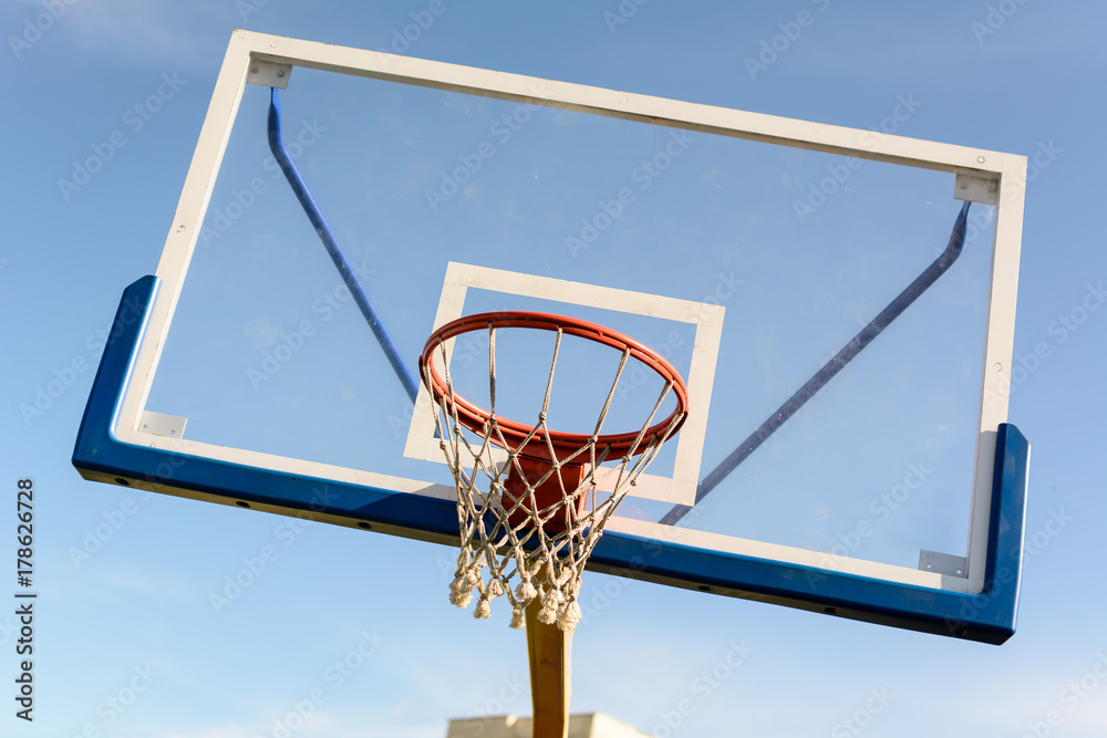 Naklejka premium Basketball Shield and Ring