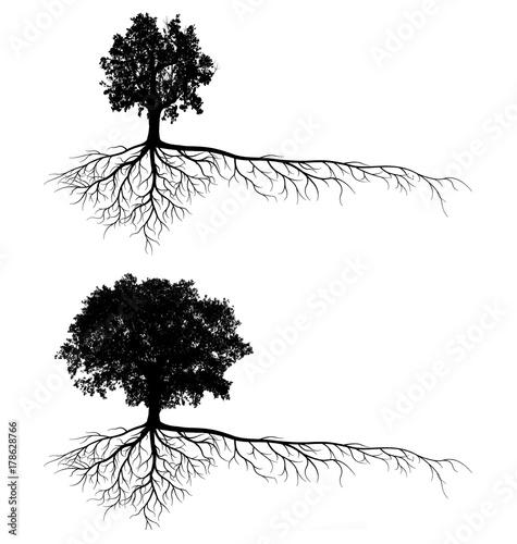 tree silhouettes